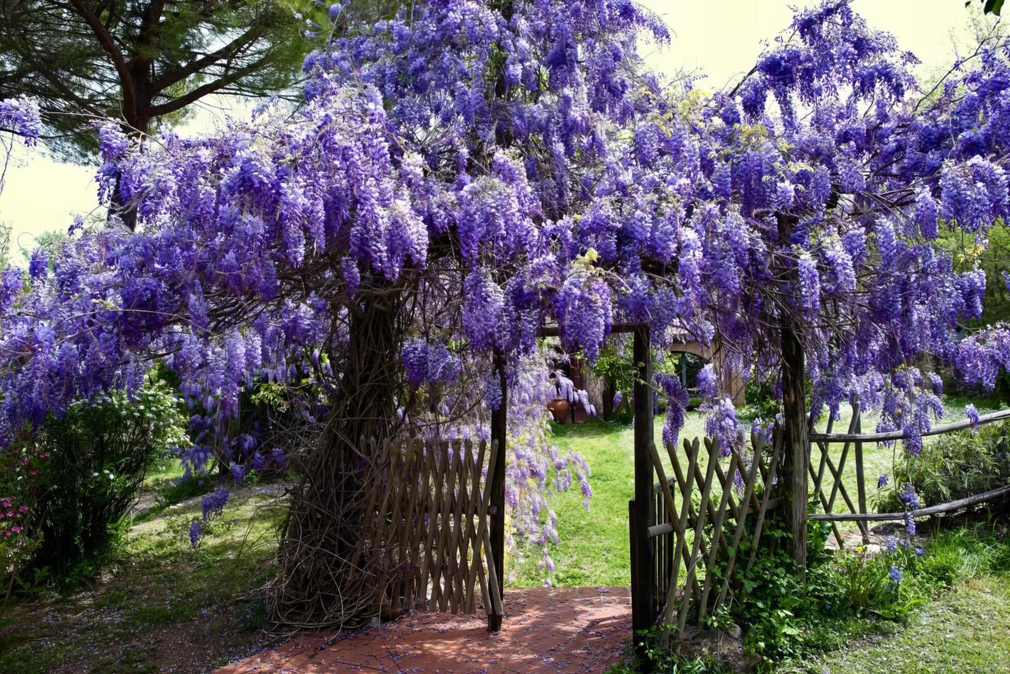 Molino In Chianti Villa Mercatale Val Di Pesa Dış mekan fotoğraf