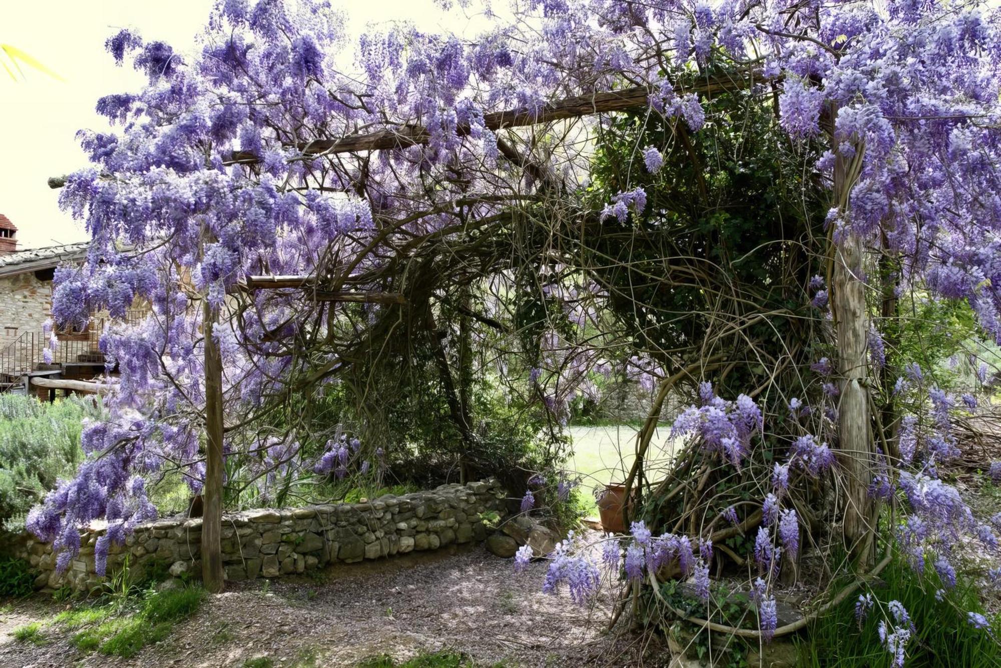 Molino In Chianti Villa Mercatale Val Di Pesa Dış mekan fotoğraf